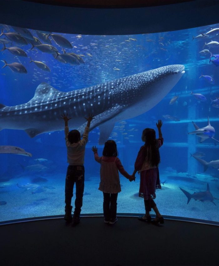 Osaka Aquarium Kaiyukan